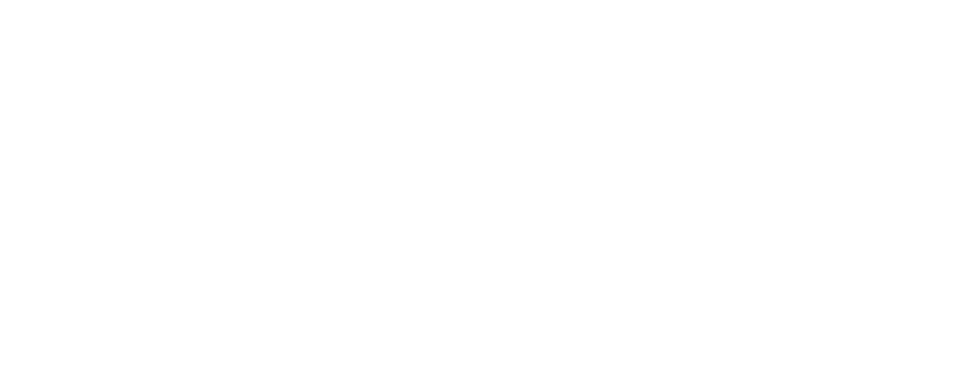 Partner 1